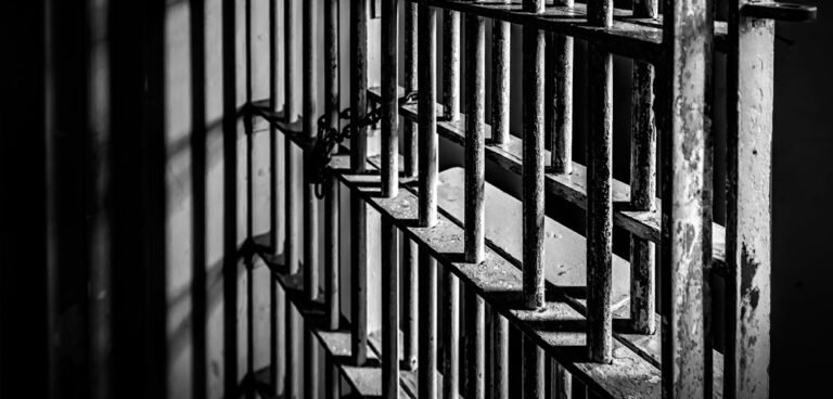 Prigione mandela fabule magazine