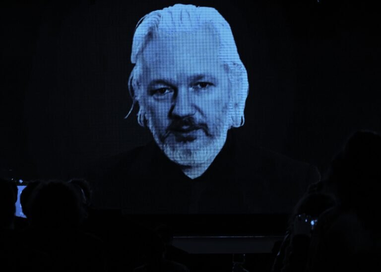 ritratto assange TINY